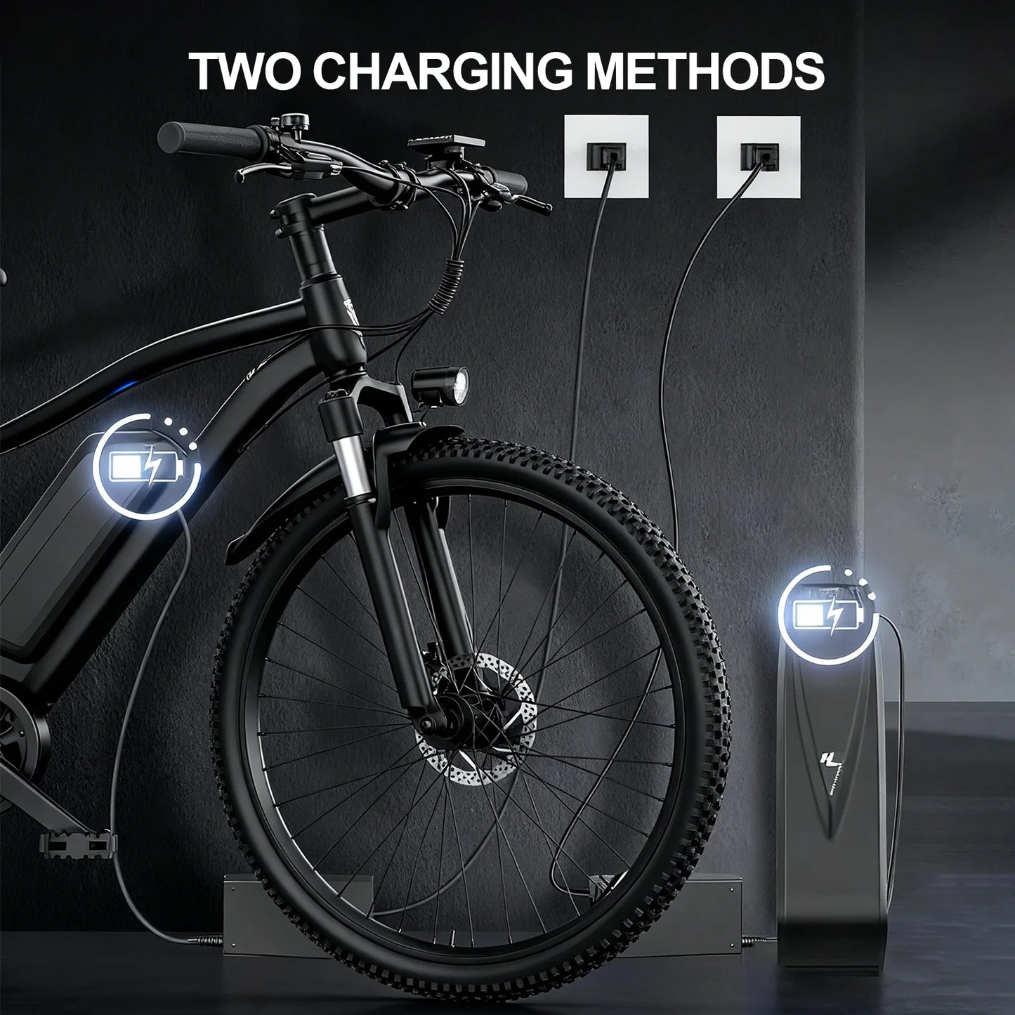 Electric Bicycle 48V Removable Battery 500W Motor