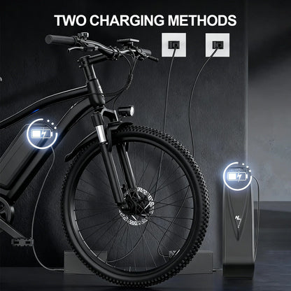Electric Bicycle 48V Removable Battery 500W Motor