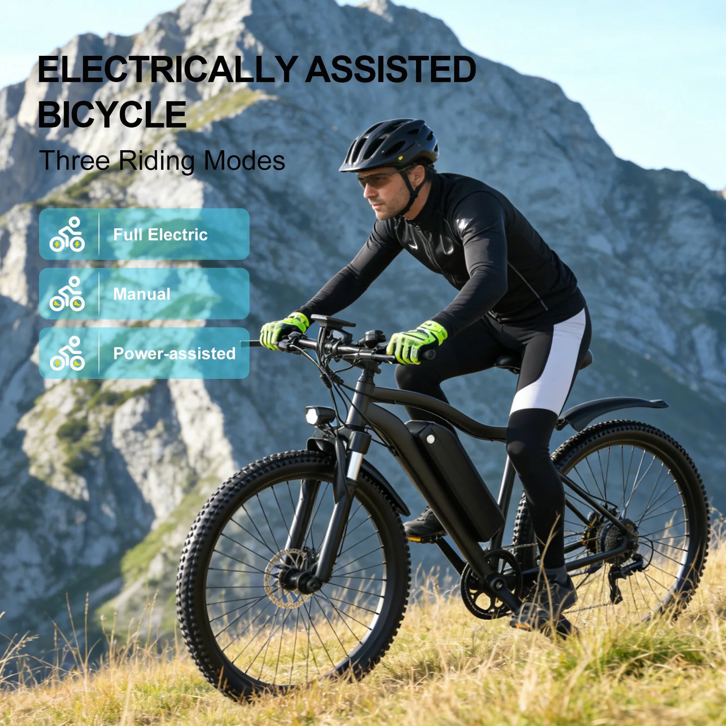 Electric Bicycle 48V Removable Battery 500W Motor