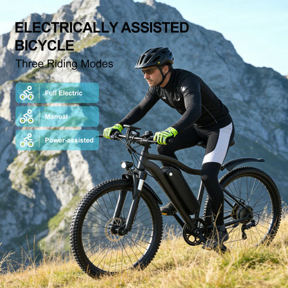 Electric Bicycle 48V Removable Battery 500W Motor