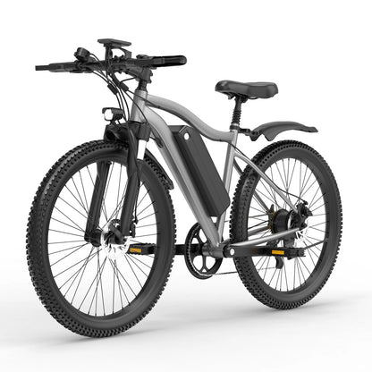 Electric Bicycle 48V Removable Battery 500W Motor