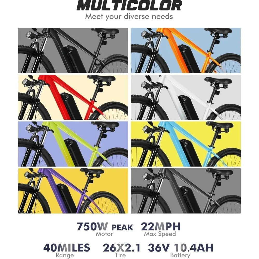 Electric Bike- 21-Speed 1000W/750W 25MPH/22MPH
