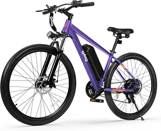 Electric Bike- 21-Speed 1000W/750W 25MPH/22MPH