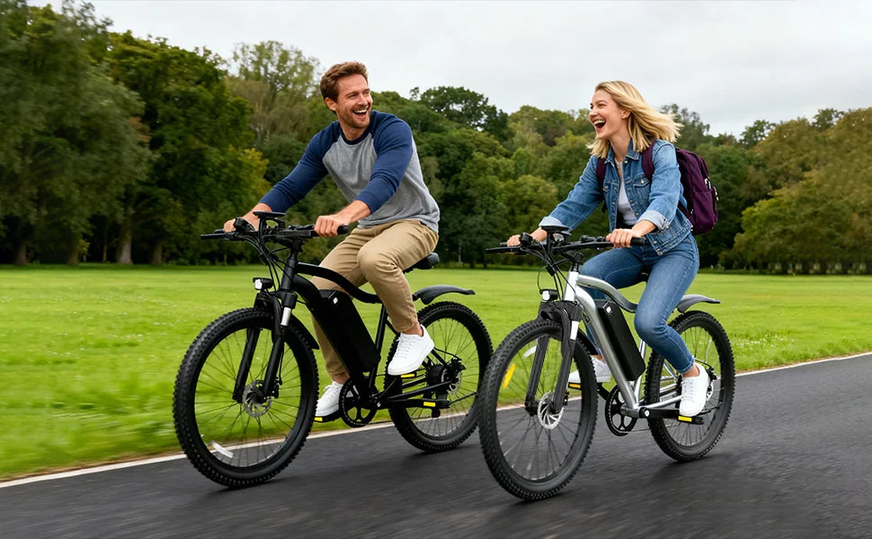 Electric Bicycle 48V Removable Battery 500W Motor