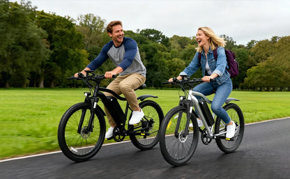 Electric Bicycle 48V Removable Battery 500W Motor