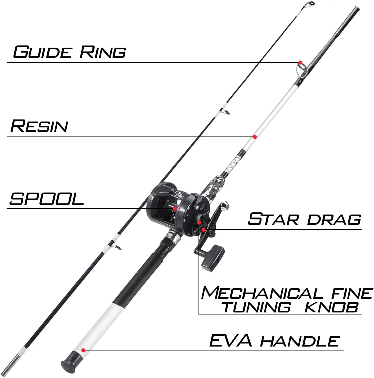 Fishing Rod and Reel Combo for Catfish, Bass, and Freshwater Angling