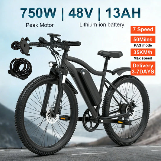 Electric Bicycle 48V Removable Battery 500W Motor
